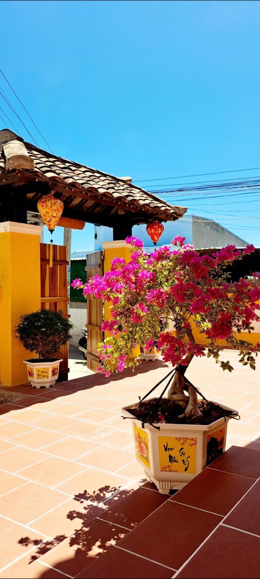 Pho Homestay Mui Ne Dış mekan fotoğraf